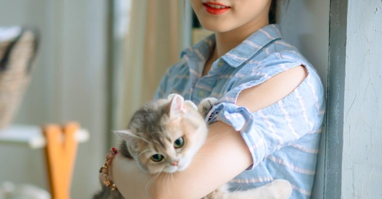 cat trees image